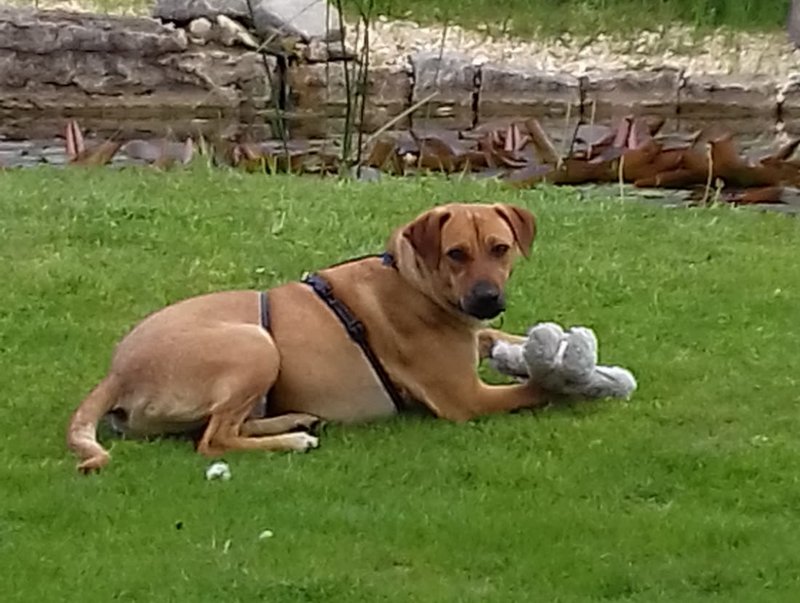 1 IMG 20210514 WA0046