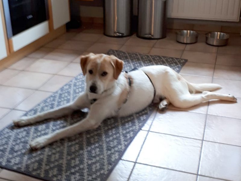 1 IMG 20210514 WA0060