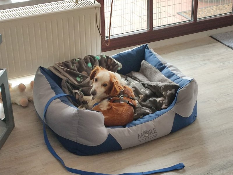 1 IMG 20210515 WA0008