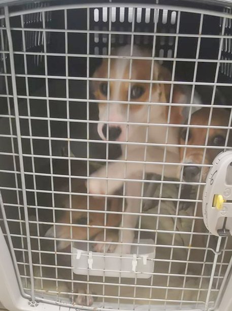 1 186556719 2644212615883211 3866731903447217861 n