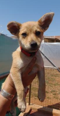 thumb IMG 20210429 191205