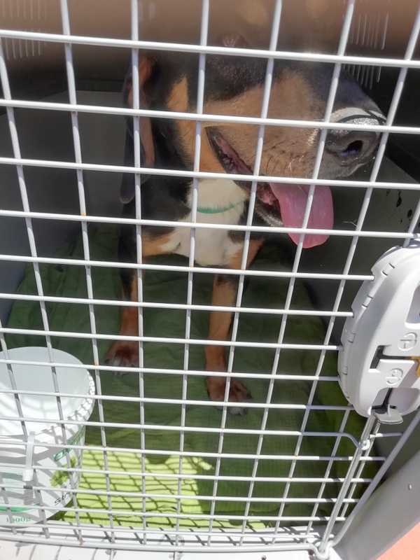 1 IMG 20210620 140825