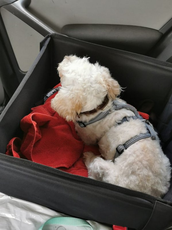 1 PHOTO 2021 06 23 12 11 29