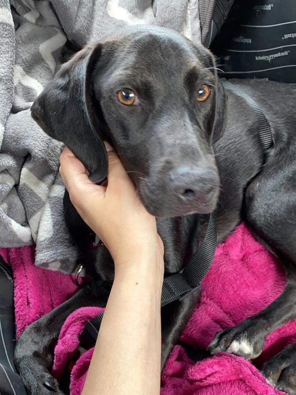 1 PHOTO 2021 06 23 12 11 49