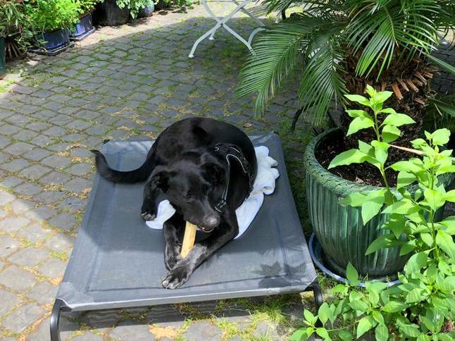 1 PHOTO 2021 06 23 13 30 13