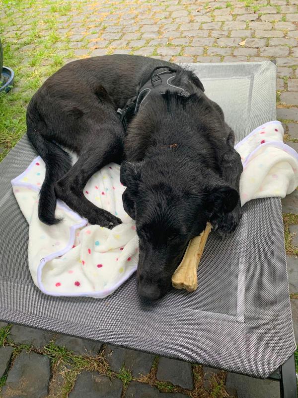 1 PHOTO 2021 06 23 15 53 30