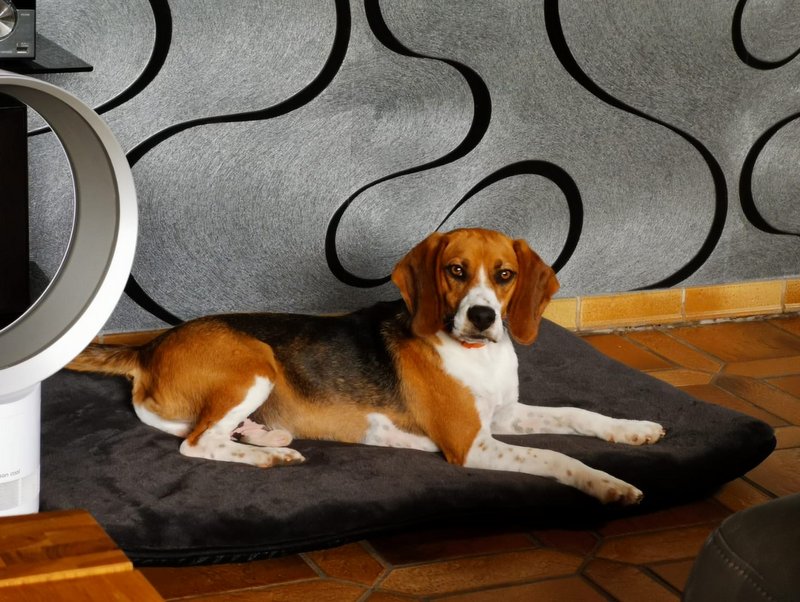 1 PHOTO 2021 06 23 16 16 16