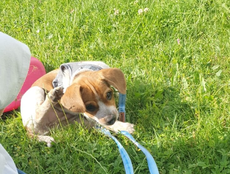 1 PHOTO 2021 06 23 17 17 41