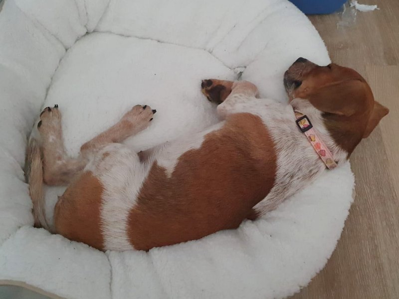 1 PHOTO 2021 06 23 19 15 39