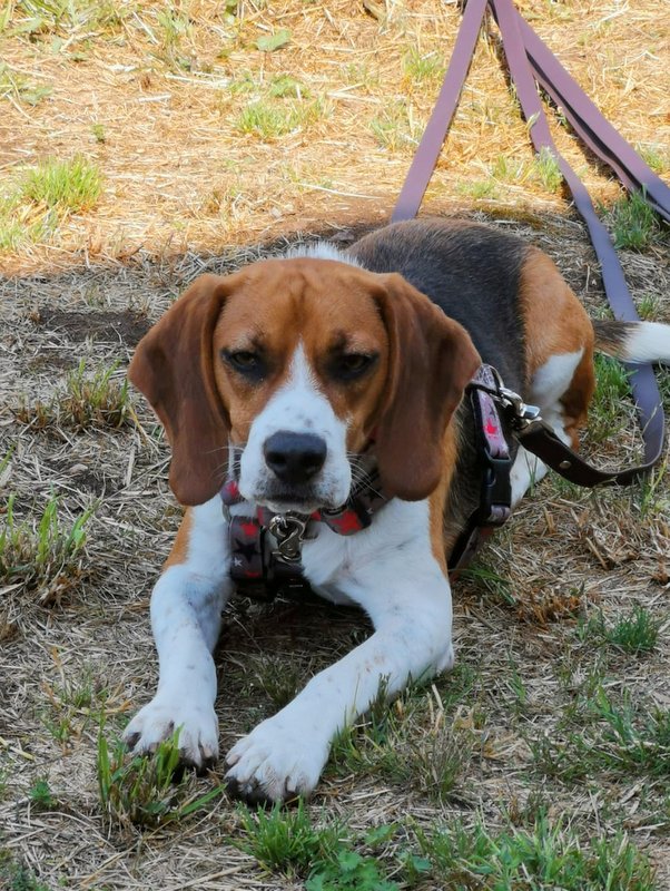 1 PHOTO 2021 06 23 19 19 51