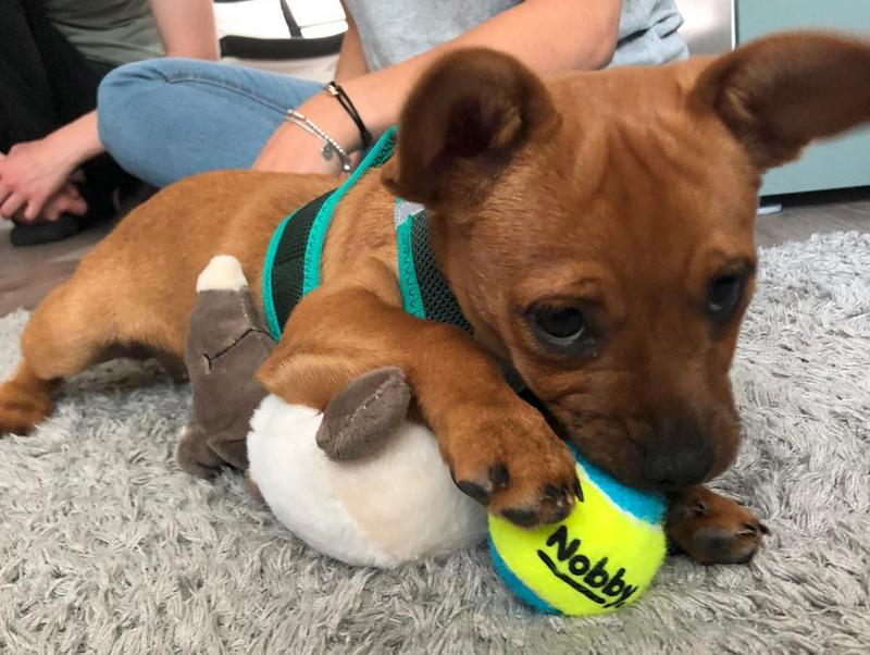 1 PHOTO 2021 06 23 19 57 46