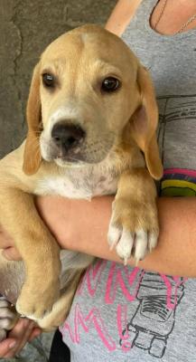 thumb IMG 20210625 173811