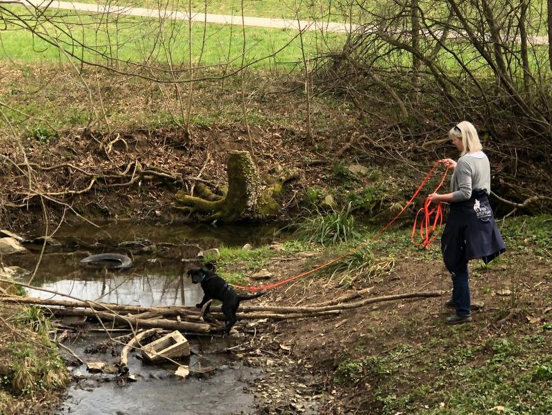 1 PHOTO 2021 04 01 19 20 54