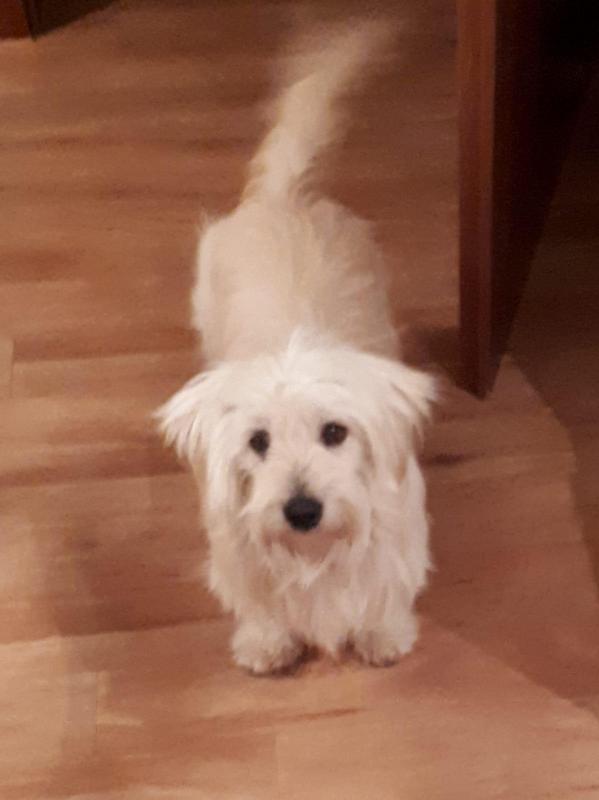 1 PHOTO 2021 04 13 14 51 58