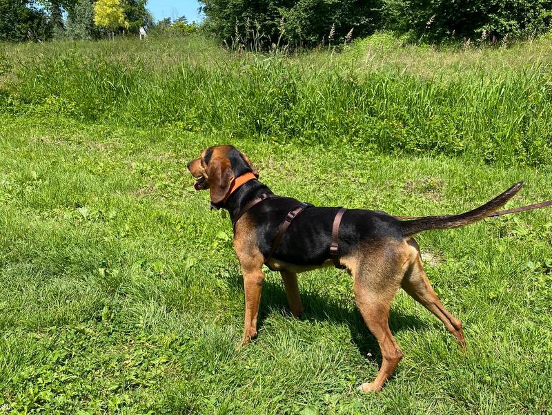 1 PHOTO 2021 06 16 21 16 19