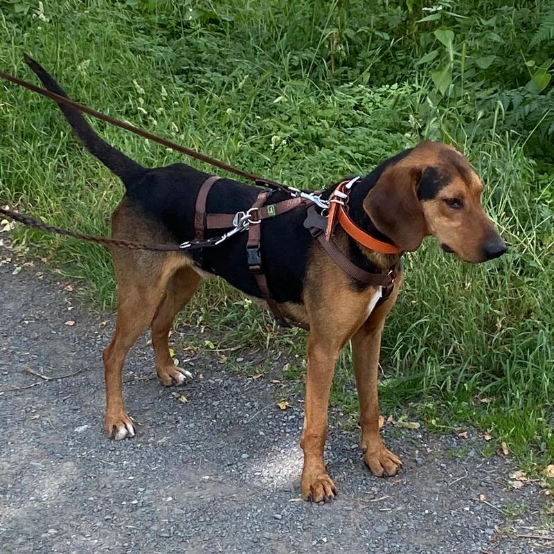 1 PHOTO 2021 06 16 21 16 44