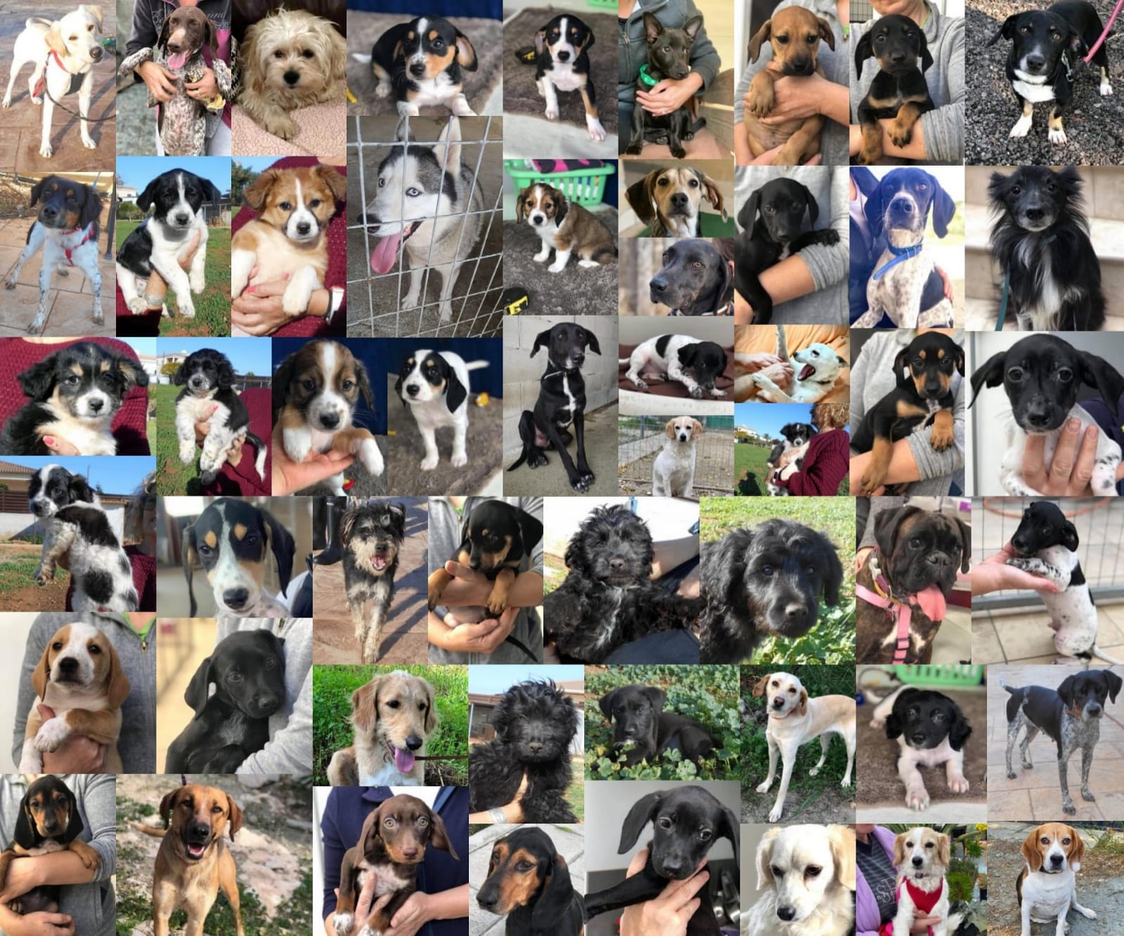 PHOTO 2021 01 30 21 57 26