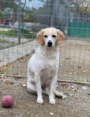 thumb IMG 20210120 194439