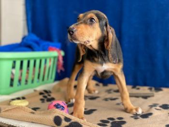 thumb 1 IMG 20210518 WA0080