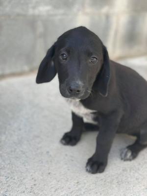 thumb 2 1621497863230 aisha2