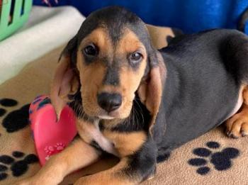 thumb f4aa9f94 88ff 44c8 8e25 097