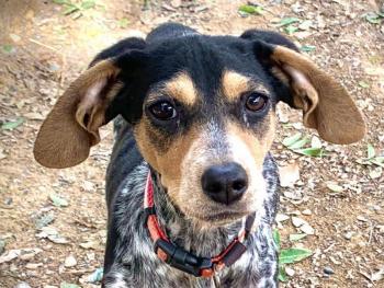 thumb 1 Pebbles Photo 1 Feb 2021