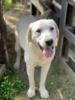 thumb IMG 20210128 142804