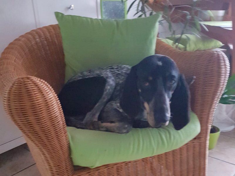 1 PHOTO 2021 03 22 21 03 04