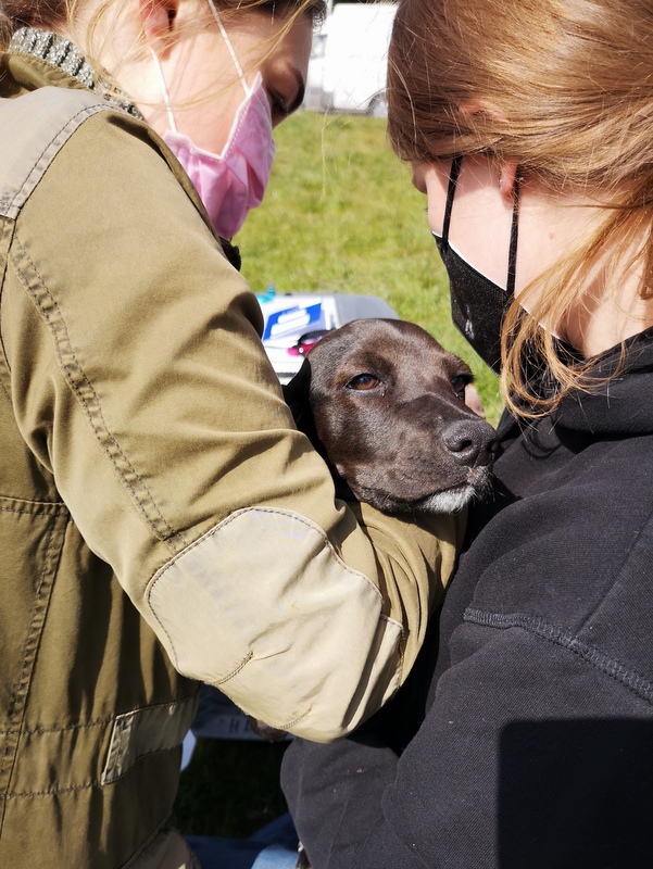 1 IMG 20210422 112316 1