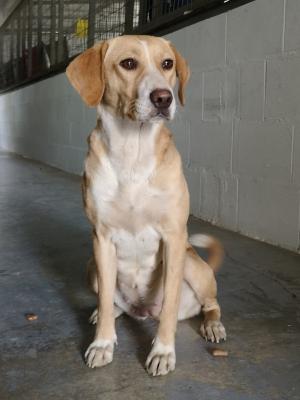 thumb 1 IMG 20210111 120253