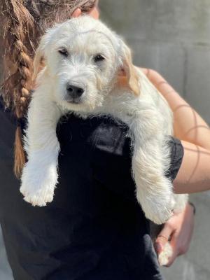 thumb 1 PHOTO 2021 03 27 16 37 41