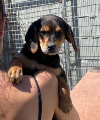 thumb IMG 20210327 230949