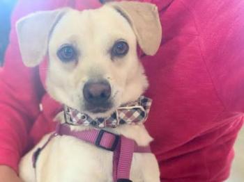 thumb PHOTO 2021 04 01 11 52 041