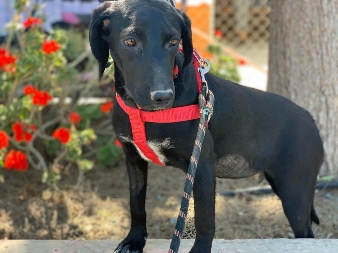 thumb PHOTO 2021 04 14 10 43 07 Copy 2