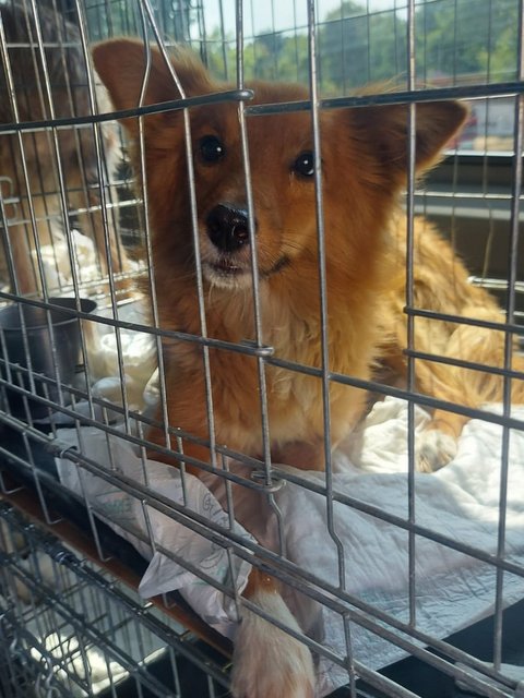 PHOTO3 2021 08 24 12 18 54