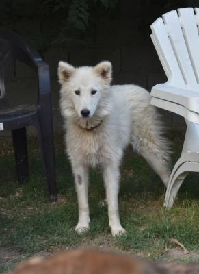 thumb IMG 20210704 WA0256