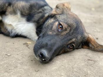 thumb IMG 20210808 WA0052