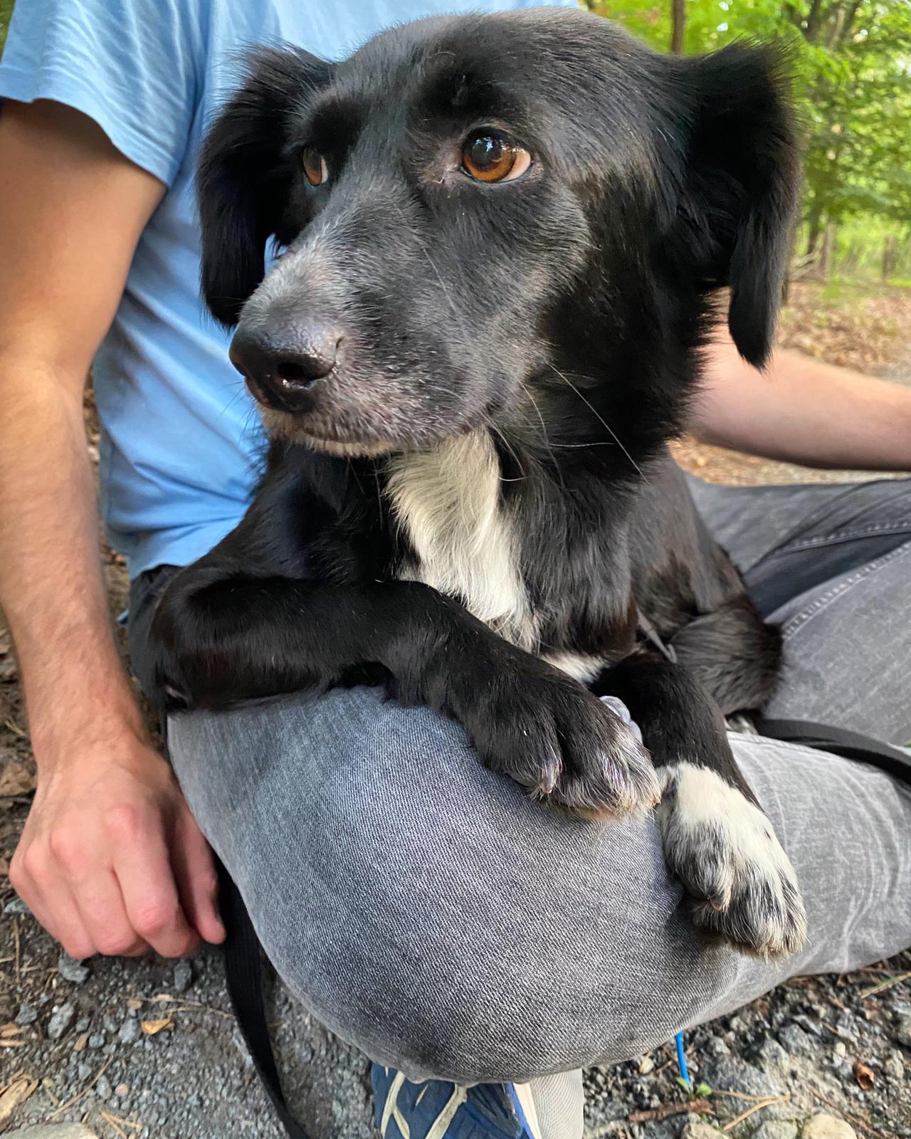 PHOTO 2021 08 28 10 04 46