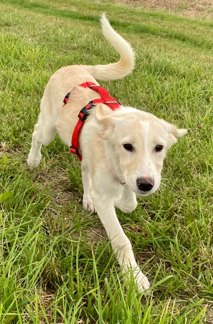 PHOTO 2021 08 28 10 05 11