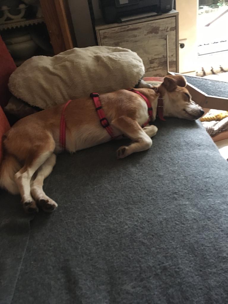 PHOTO 2021 08 28 10 06 59