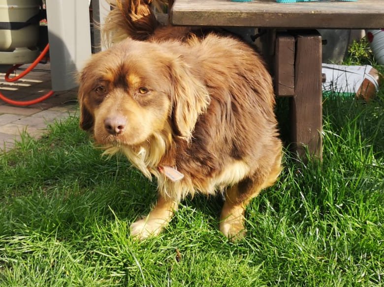 1 PHOTO 2021 04 25 11 23 19