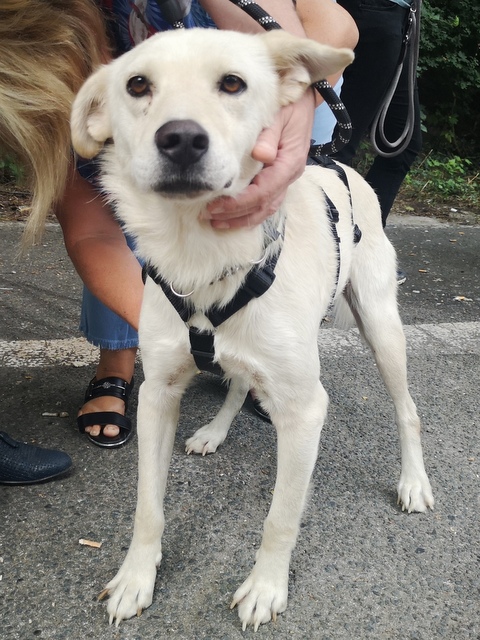 IMG 20210724 105525 1