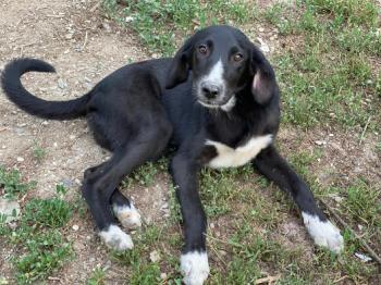 thumb 1 IMG 20210628 WA0116