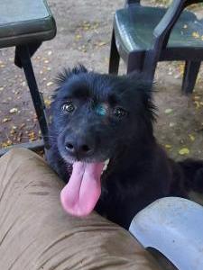 thumb IMG 20210622 WA0215