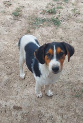 thumb IMG 20210704 WA0196