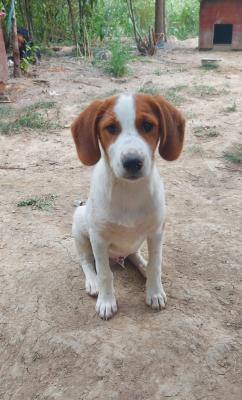 thumb IMG 20210704 WA0197