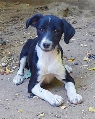 thumb IMG 20210706 225537