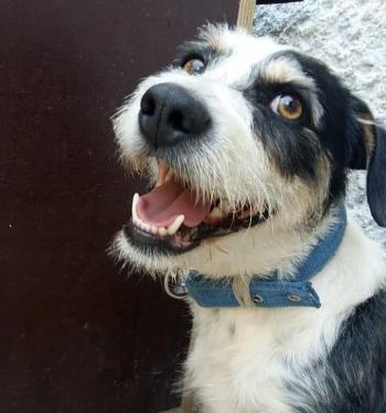 thumb IMG 20210711 124512 201