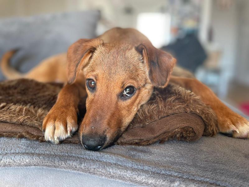 1 PHOTO 2021 03 07 20 08 21