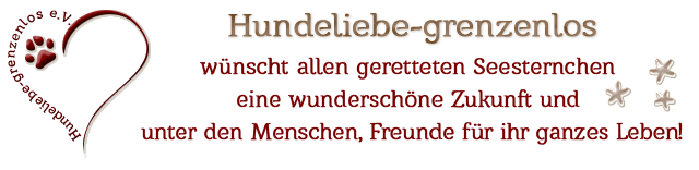 hulipfotenherzankunft1